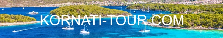 spot_img