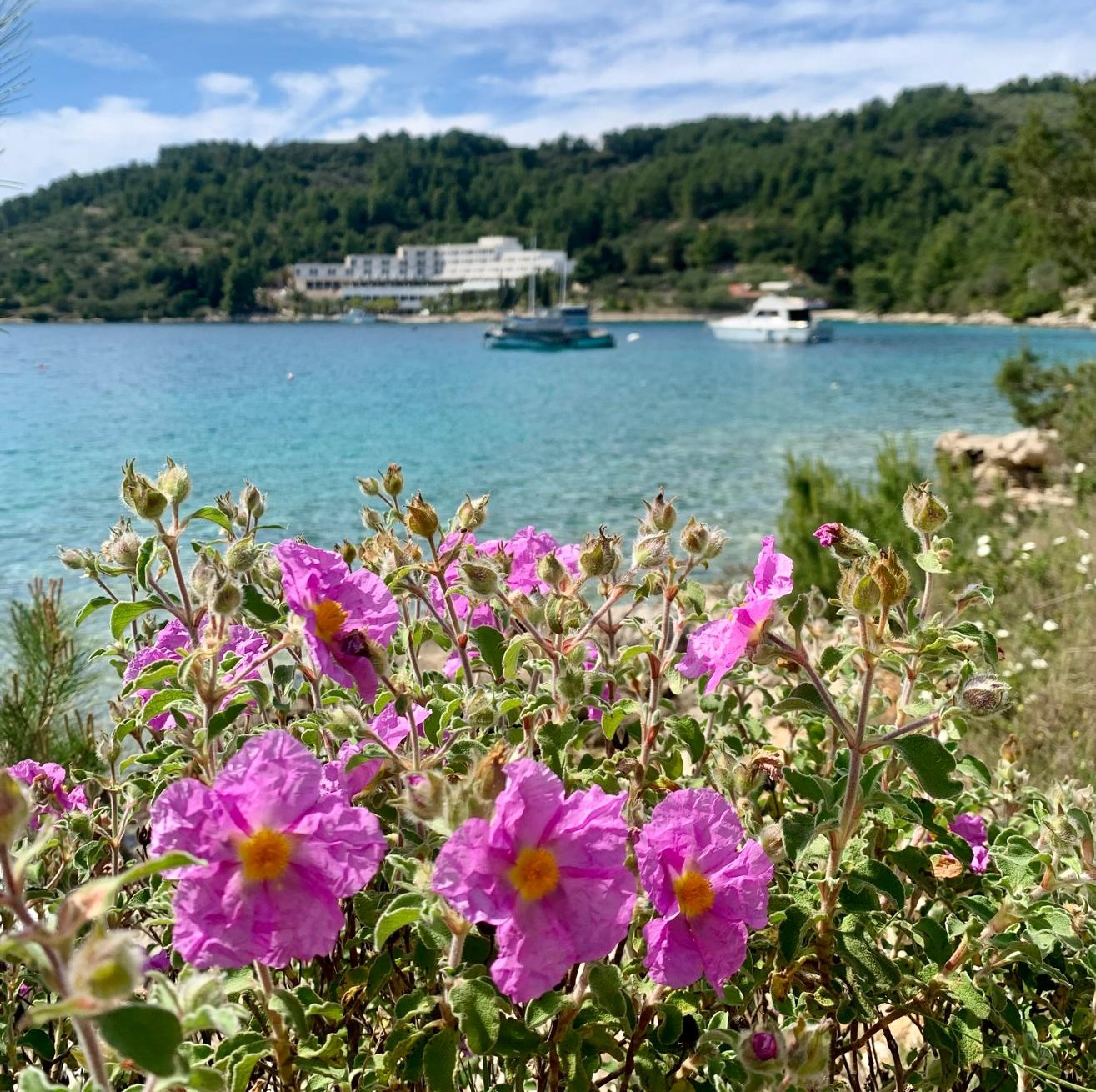 vela luka villa korčula